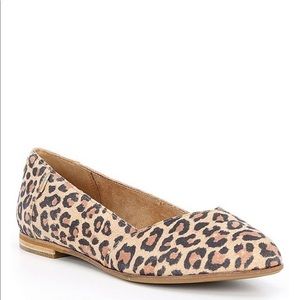 toms flats leopard